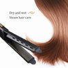 Flat Iron Hair Straightener Regular price