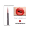 Long Lasting Lip Color Pigments Lipliner